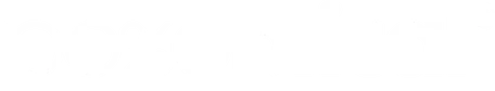 100% Optical